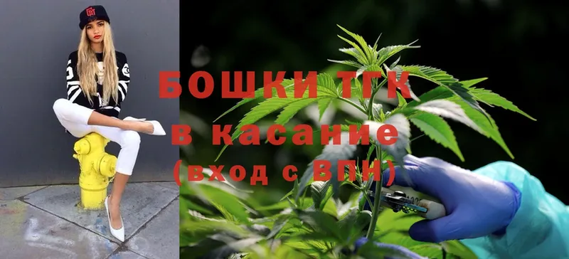 как найти наркотики  Шахунья  Конопля Ganja 